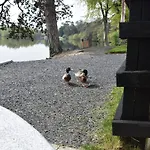 Hébergement de vacances Alensgrove Maisonette D Leixlip