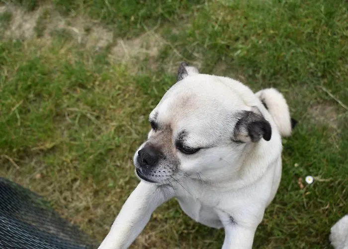 Alensgrove Maisonette D *